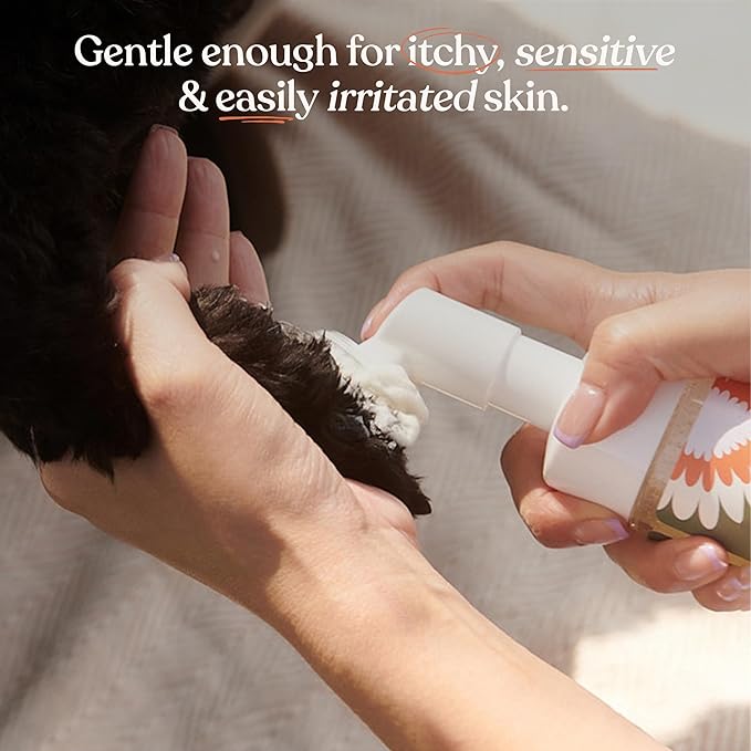 Dandylion Clean Paws No-Rinse Foaming Cleanser Refill – Gentle, Fragrance-Free, pH-Balanced for Dogs, 10 fl oz