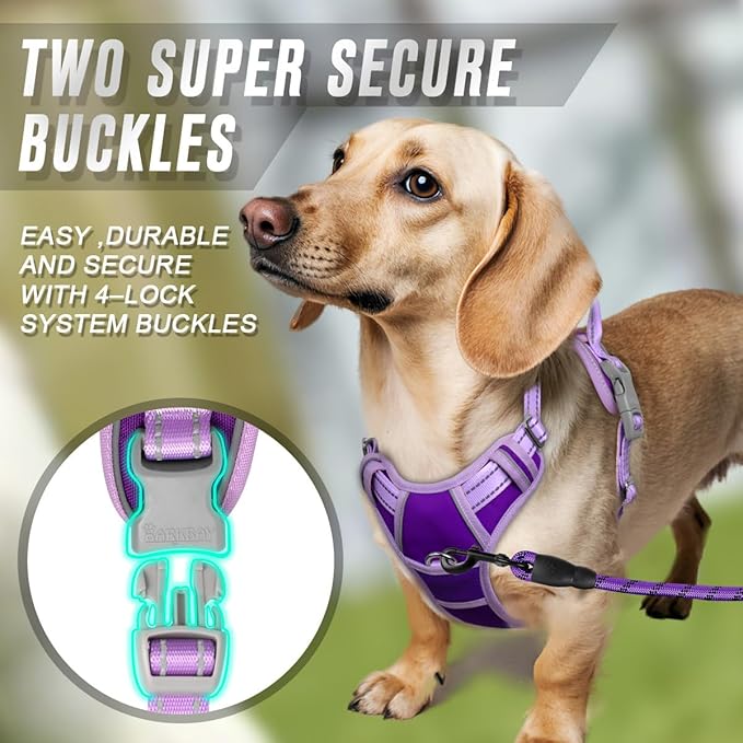 BARKBAY No Pull Dog Harness Front Clip Heavy Duty Reflective Easy Control Handle for Large Dog Walking(Violet Purple & Purple,S)