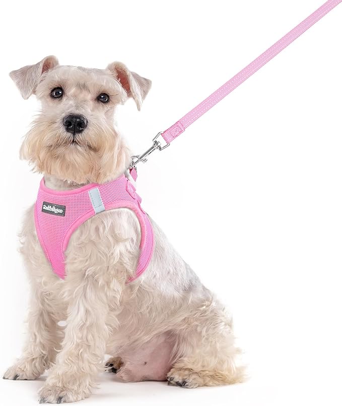 rabbitgoo Dog Harness Medium Sized and Leash Set, Step in Soft Light Puppy Vest, Breathable Mesh Pet Harness, Reflective for Safe Easy Walking, Light Pink XXL