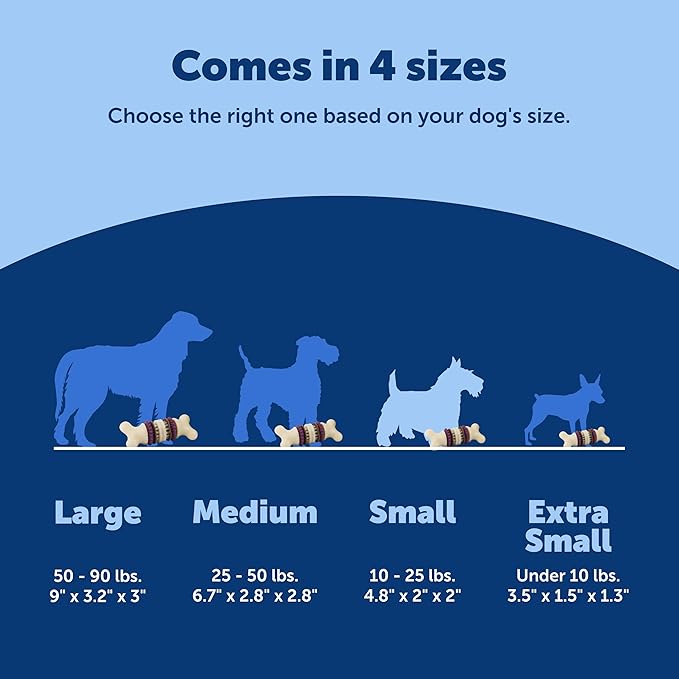 PetSafe Busy Buddy Bristle Bone - Chew Toy for Dogs - Boredom Relief & Dental Care - Durable Nylon Build with Rubber Nubs - Includes Treat Ring Refills - Dishwasher Safe Design