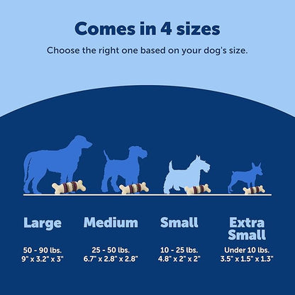 PetSafe Busy Buddy Bristle Bone - Chew Toy for Dogs - Boredom Relief & Dental Care - Durable Nylon Build with Rubber Nubs - Includes Treat Ring Refills - Dishwasher Safe Design