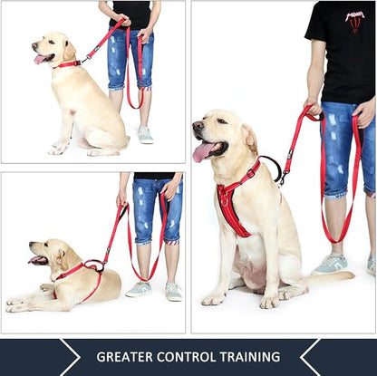 Plutus Pet Double Handle Dog Leash 5ft, Heavy Duty, Reflective Dual Handle Dog Leash for Safety Training, for Medium Large Dogs,2 Handle Leads(Red)