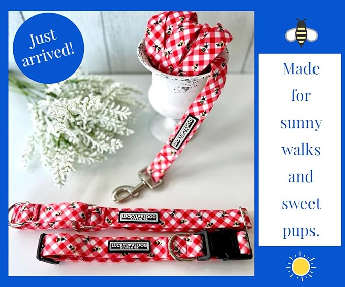 Lucky Love Dog - Easy Click Buckle Dog Collar with Leash Set Combo, Durable & Comfortable for Male & Female Dogs, Pet Collar for Small Dogs, Secure Fit - Bailey Combo, Small