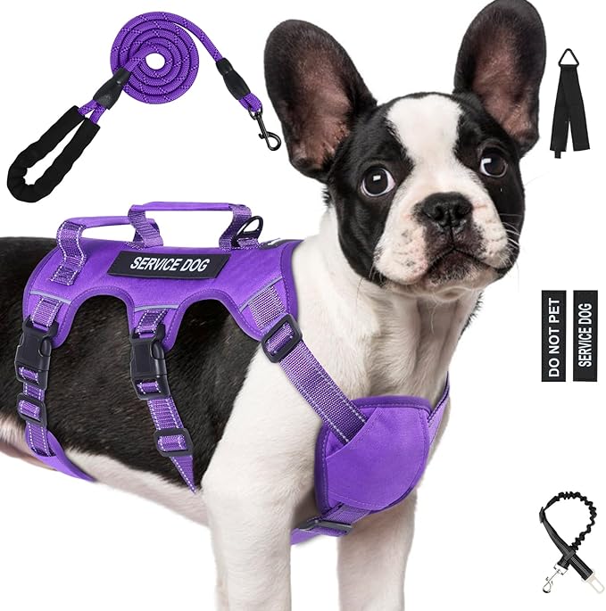 Escape Proof Dog Harness for Large Medium Sized Dogs Six Point Adjustable, Service Dog Vest Harness and Leash Set, No Pull Dogs Harnesses with Handle, Medium Dog Harnesses for Walking(Purple, M)