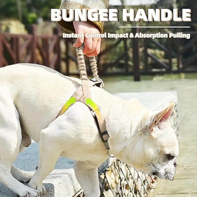 PUPTECK No Pull Dog Harness Small Sized Dog, Adjustable Reflective Pet Vest Harness with Bungee Handle, Escape Proof No Choke Harness for Small Dogs Walking Training, Beige S