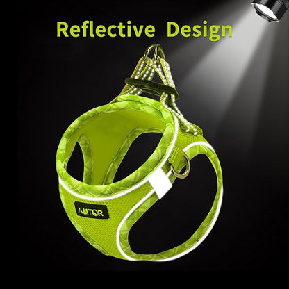 AMTOR Small Dog Harness with Leash Set, No Escape Easy Walk Puppy Harnesses for Training Walking, Step-in Reflective Soft Dogs Vest for XS S Medium Extra-Small Large Sized Dog(XXS Size,Green/White)
