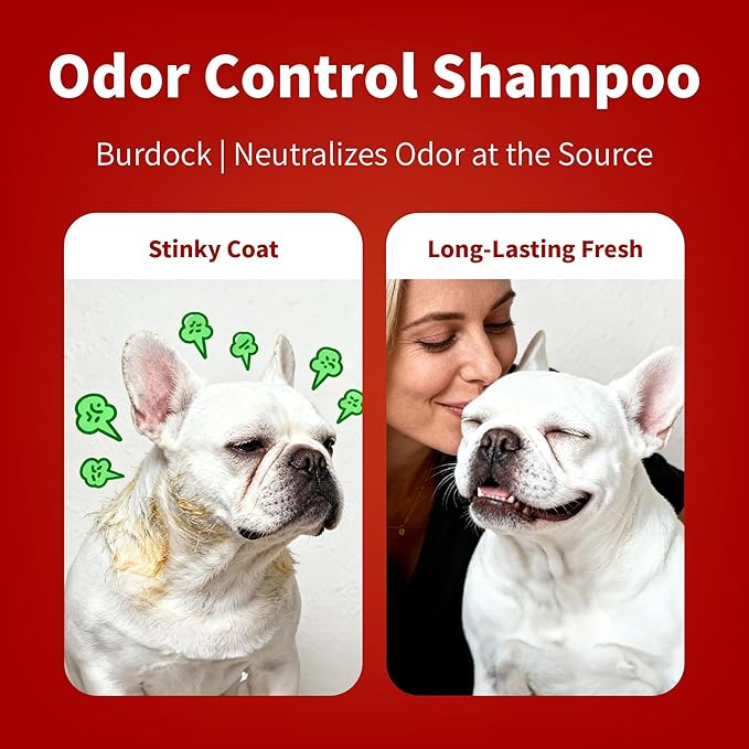 Arf Arf Odor Control Dog Shampoo - Advanced Deodorizing Formula for Smelly Dogs with Soothing Hydrolyzed Oat Protein for Dry, Itchy Skin Relief - Long Lasting Fresh Scent - Pro Grooming Results - 16oz