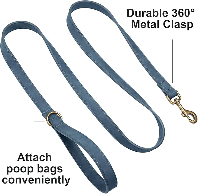 Didog Stylish PU Leather Dog Leash for Medium Dogs, Easy to Clean 5ft Dog Leashes for Large Dogs, Fashionable and Elegant for Walking, Running and Training,Blue, M