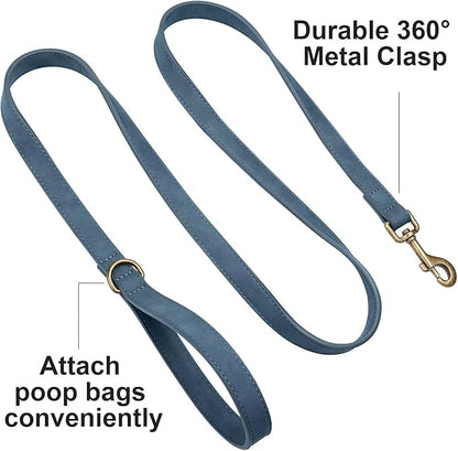 Didog Stylish PU Leather Dog Leash for Medium Dogs, Easy to Clean 5ft Dog Leashes for Large Dogs, Fashionable and Elegant for Walking, Running and Training,Blue, M
