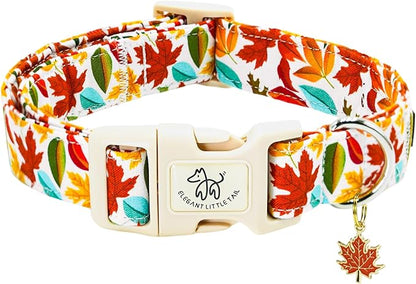 Elegant little tail Fall Dog Collar, Fall Maple Leaf Print Autumn Pet Collars Dog Cotton Soft Sturdy Puppy Collars Holiday Female Adjustable Collar for Small Dogs