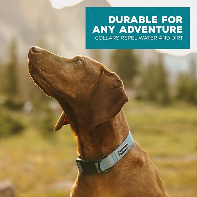 Wilderdog Waterproof Dog Collar - Repels Water & Dirt - Small 11"-15" - Saltwater