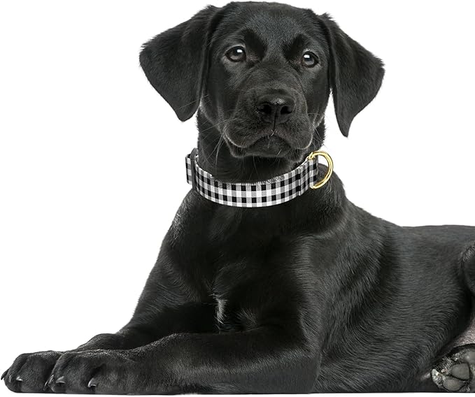 Rnivvi Dog Collar for Large Dogs, Cute Heavy Duty Adjustable Puppy Collar with Quick Release Buckle for Boy Girl & Female, Pet Accessories for Walking Running, L Length 1" Width, Black White Tartan