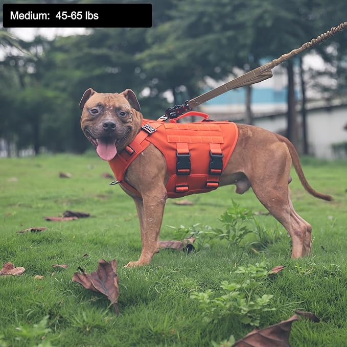 ICEFANG GN3 Tactical Dog Harness with 6X Buckle,Dog Molle Vest with Handle,3/4 Body, Hook and Loop Panel for ID Patch,No Pulling Front Clip (M (Neck 15"-22"; Chest 25"-31"), Safety Orange)
