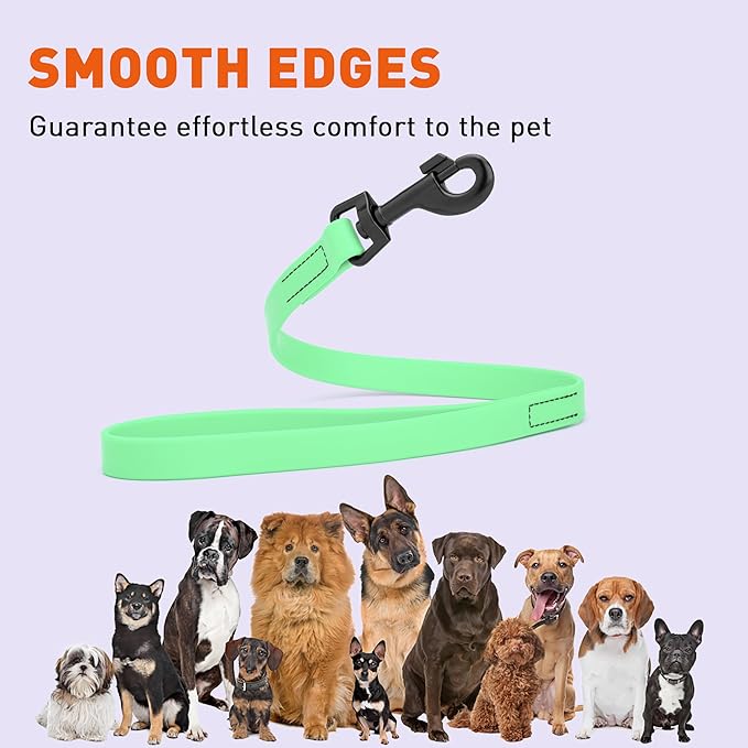 Dogline Biothane Waterproof Dog Leash Strong Coated Nylon Webbing with Black Hardware Odor-Proof Easy to Clean High Performance for Small or Large Dogs Made in USA 2 ft Lead, Sea Foam Green