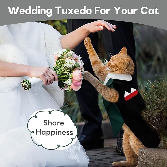 ADNIKIA Cat Tuxedo Suit, Stylish Cat Tuxedo Outfit Formal Suit, Kitten Formal Attire Wedding Birthday Onesie Costume for Male Girl Hairless Cats, Pet Fashion Apparel Fancy Clothes, Grey, M
