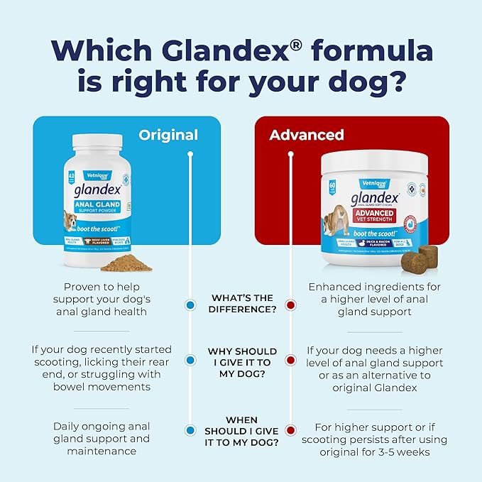 Glandex Dog Fiber Supplement Powder for Anal Glands with Pumpkin, Digestive Enzymes & Probiotics - Vet Recommended (Regular or Advanced Strength) - Boot The Scoot (2.5 oz, Pork Liver)