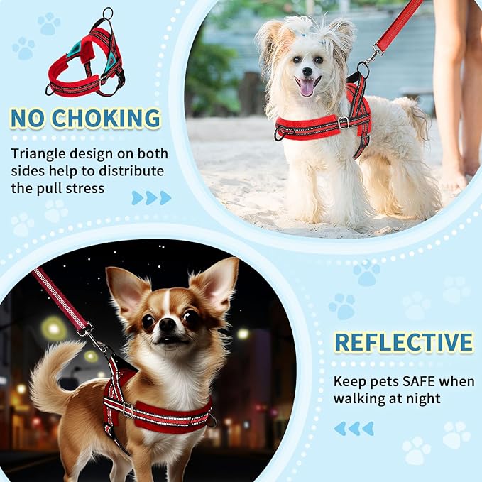 SlowTon No Pull Small Dog Harness and Leash Set, Puppy Soft Vest Harness Neck & Chest Adjustable, Reflective Lightweight Harness & Anti-Twist Pet Lead Combo for Small Medium Dogs (Red, XS)
