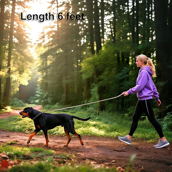 Heavy Duty Double Handle Dog Leash 6 ft Long for Total Control, Padded 2 Handle, Reflective Training Lead for Medium Large Dogs (Beige, 6 FT)