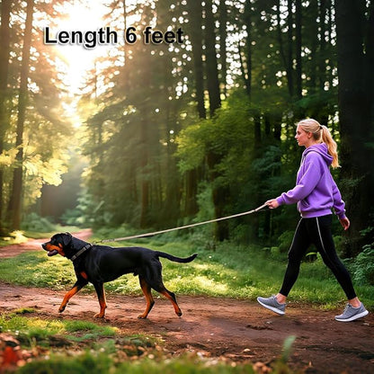 Heavy Duty Double Handle Dog Leash 6 ft Long for Total Control, Padded 2 Handle, Reflective Training Lead for Medium Large Dogs (Beige, 6 FT)