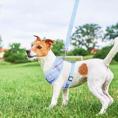 SCENEREAL Puppy Dog Harness with Leash Set for Small Medium Sized Dogs, Soft Mesh Step in Pet Harnesses and Leash, No Chock Plaid Adjustable No Pull Vest for Dogs Cats, Chihuahua,Bulldog (Blue S)