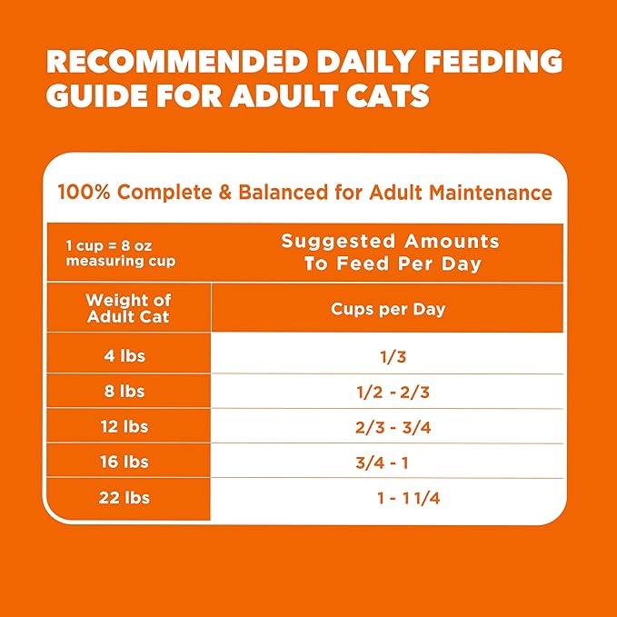 IAMS Proactive Health Adult Healthy Dry Cat Food with Chicken, 16 lb. Bag