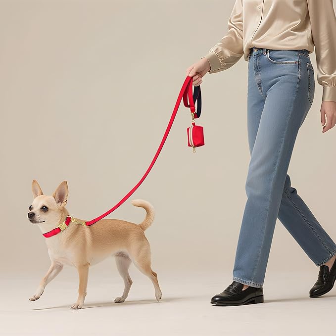 Didog Soft Padded Dog Collars for Small Dogs, Colorful and Durable Dog Collar with Quick Release Buckle, Light and Breathable for Daily Walking, Red, S
