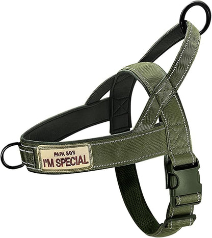 Green No Pull Dog Harness for Small Medium Large Sized Dog, Reflective Escape Proof Adjustable Dog Harnesses with 2 Patch, L