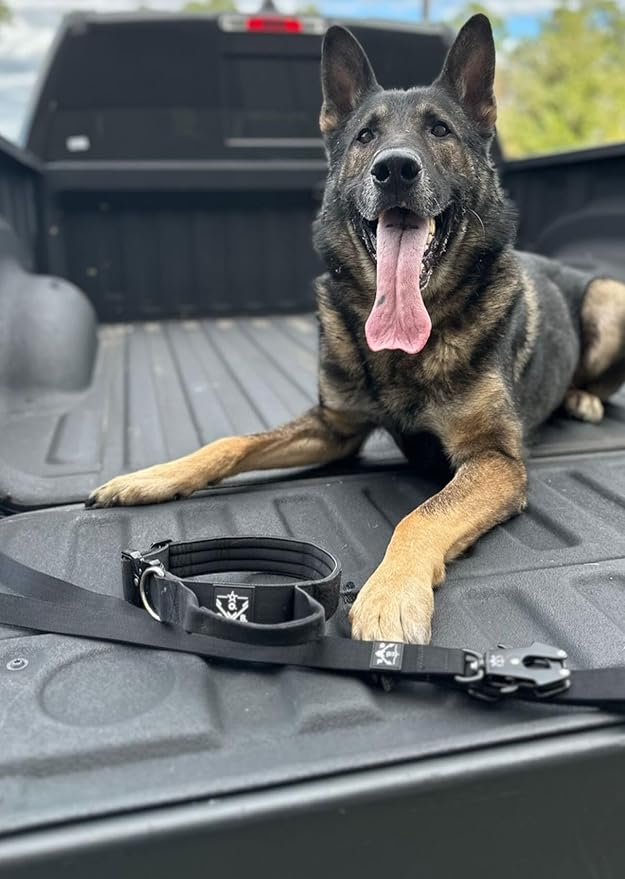 Tactical Dog Leash, 5 FT Heavy Duty Military-Grade Nylon, Quick Release Frog Clip (700 lb) with 360° Swivel, Padded Handle, for Medium and Large Dogs, Black – Operation Good Boy, Veteran Owned