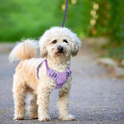 BARKBAY No Pull Dog Harness Large Reflective Dog Harness with Front Clip and Easy Control Handle for Walking Training Running with ID tag Pocket(Lavender Sky,S)