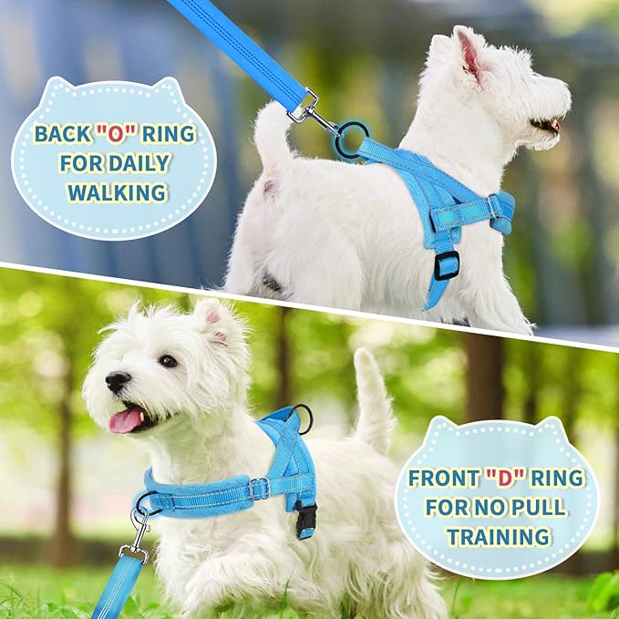 Lukovee No Pull Dog Harness and Leash Set, Soft Padded Small Dog Harness, Neck & Chest Adjustable Reflective Vest Puppy Harness with 4ft Lightweight Anti-Twist Dog Leash for Small Dogs (LBL, S)
