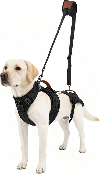 Dog Lift Harness for Male Dogs - 2-in-1 Full Body Support Aid & Sling, Comfortable & Chafe-Free for Post-Surgery Recovery and Elderly Dog Mobility, Hind Leg Assistance, Supports up to 27 Lbs (S)