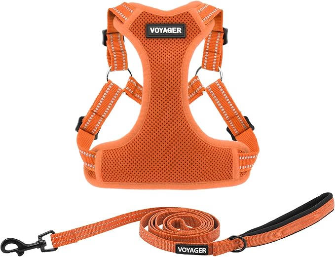 Best Pet Supplies Voyager Adjustable Step-in Flex Breathable Mesh Dog Harness for Small Medium Large Dogs Leash Set (Orange), XS
