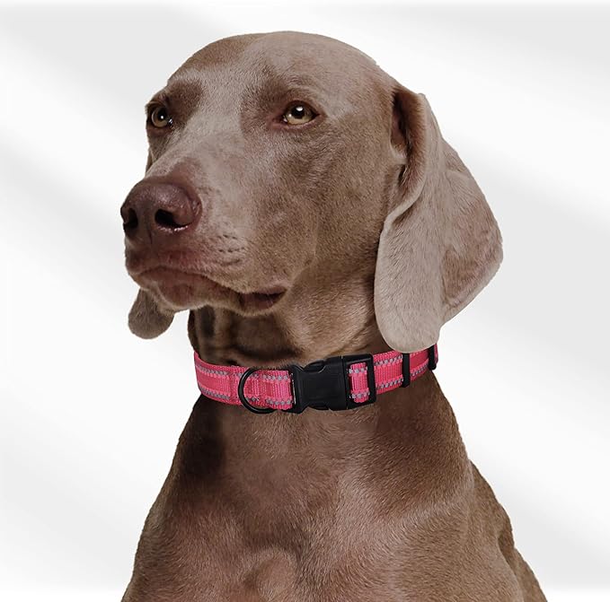 Mile High Life Reflective Dog Collar, Basic Dog Collars Adjustable Quick Release, Soft Nylon Pet Collar with Metal D-Ring for Small Medium Large Dogs (Pink, L Neck15-19")