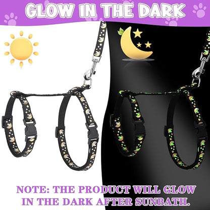Guiqulai 2 Pack Cat Harness and Leash with Collar Set, Escape Proof Cat Harness Adjustable Kitten Harness Glow in The Dark for Small Medium Cats