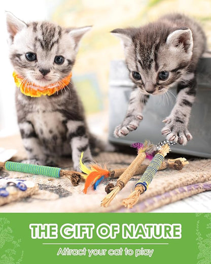 TINDTOP Catnip Chew Toys for Cats, 4 Pack Natural Silvervine Sticks for Kittens Teeth Cleaning, Matatabi Dental Care, Increase Appetite, Aggressive Chewers Cat Dental Toy