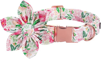 Lionet Paws Dog Collar with Flower, Soft and Comfortable, Adjustable Collar for Small Dogs Girl, Neck 10-16 inches