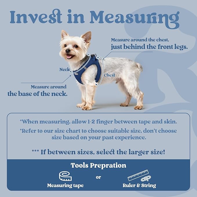 rabbitgoo Small Dog Harness, Step-in Soft Mesh Puppy Vest with Safety Buckle, Breathable Reflective Pet Harness for Small Sized Dogs, Navy Blue S