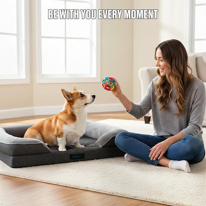 Orthopedic Egg-Shaped Sponge Dog Beds Large Sized Dog with Sides, Removable Cover and Non-Slip Bottom (Grey, 35 * 25 * 8)