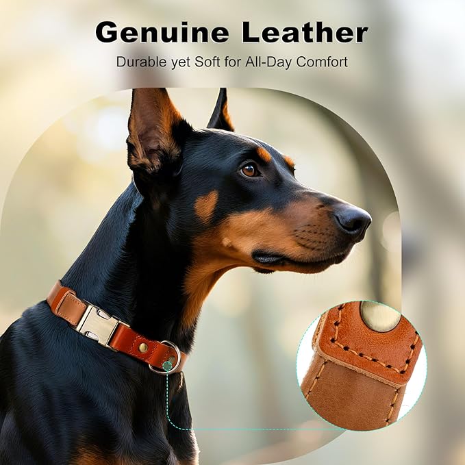 Plutus Pet Genuine Leather & Hemp Dog Collar – Adjustable Heavy Duty Pet Collar with Quick Release Metal Buckle, Soft & Stylish for Puppy and Small, Medium, Large Dogs (Light Brown, S)