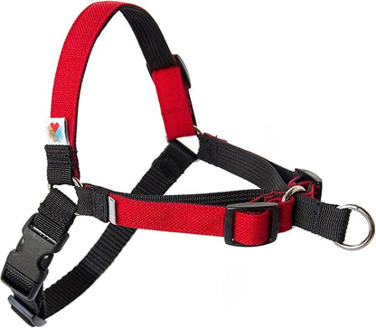 Wildebeest No Pull Dog Harness | Comfortable Dog Training Harnesses | Effective No Pull Harness Design | Ideal Dog Harness for Small Dog and Puppy | 4-Point Adjustable (S - 18~24 inch Girth, Red)