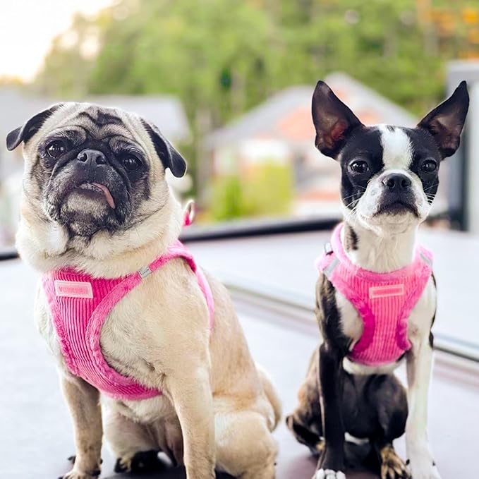 Best Pet Supplies - All Weather Plush, Reflective, No Pull Harness for Small, Medium Dogs, Cats - Secure with Hook & Loop Fastener, Buckle, Double D-Rings - Fuchsia Corduroy, S