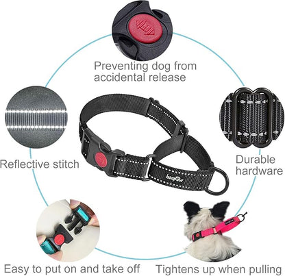 haapaw 2 Packs Martingale Dog Collar with Quick Release Buckle Reflective Dog Training Collars for Small Medium Large Dogs