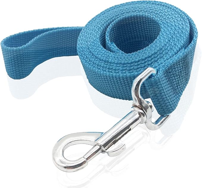 Nylon Dog Leash 12 Feet Long, Walking Training Dog Leashes for Medium Large Dogs(1" X 12 ft, Blue)