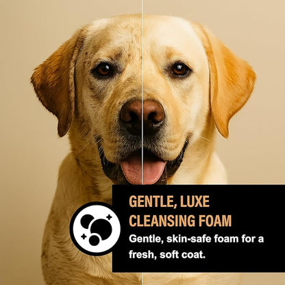 Dog Shampoo for Sensitive Skin - Gentle Natural Dog Wash for Odor Control - Oatmeal Shampoo for All Dogs & Puppies - 8fl oz (Cranberry Spice)