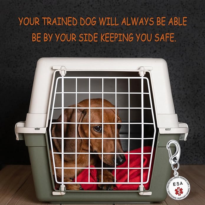 Leash King Service Dog Tag/ESA Animal Tag - Double Sided with Federal Protection & Red Medical Alert Symbol| Easily Attach to Collar, Harness, Vest | Service Dog Identification Tag