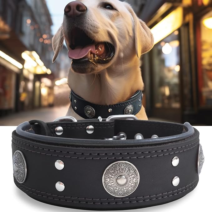Leather Dog Collar, 2 inches Wide Heavy Duty Genuine Leather Collars, Handmade, Soft, and Luxury, Eye-catching Best Choice for Large and Medium Breed Dogs, Black 21-25 inches