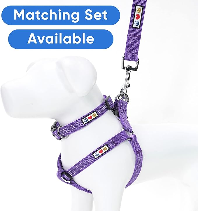 Pawtitas Purple Dog Leash 6 ft M/L Reflective Durable Lightweight Dog Lead for Medium or Large Dogs and Puppies