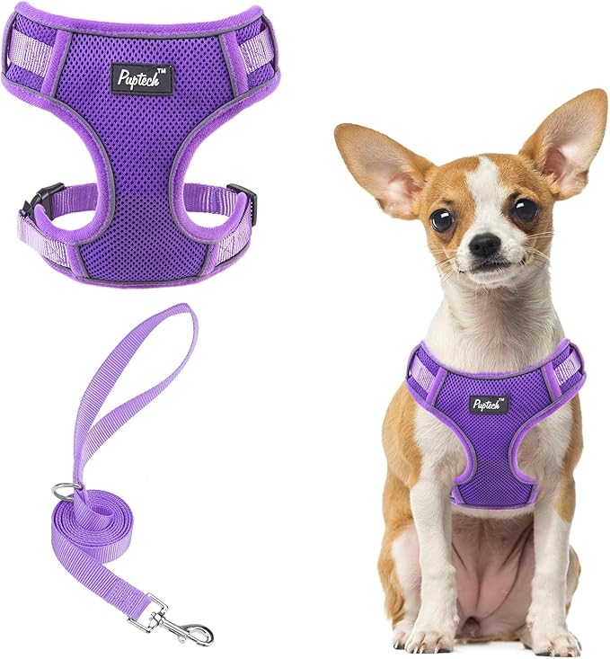 PUPTECK Small Dog Harness and Leash Set, No Pull Adjustable Puppy Cat Harness, Reflective Soft Mesh Pet Vest Small Sized, Purple, XS