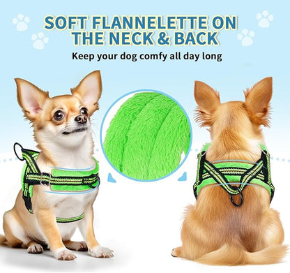Lukovee No Pull Dog Harness and Leash Set, Soft Padded Small Dog Harness, Neck & Chest Adjustable Reflective Vest Puppy Harness with 4ft Lightweight Anti-Twist Dog Leash for Small Dogs (XXS, Green)