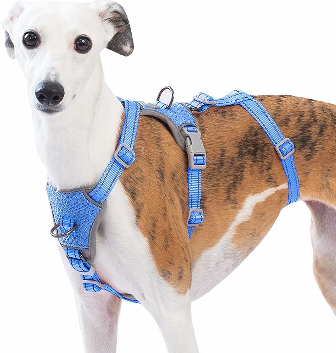 Huntboo Escape Proof Dog Harness – No Pull, No Slip, Fully Reflective, Adjustable 7-Point Design for Small, Medium, and Large Dogs – Lightweight for Outdoor Training & Hiking (Sea Blue, M)